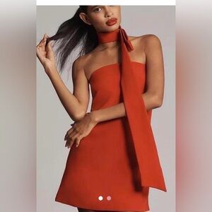 Anthropologie Mini Dress